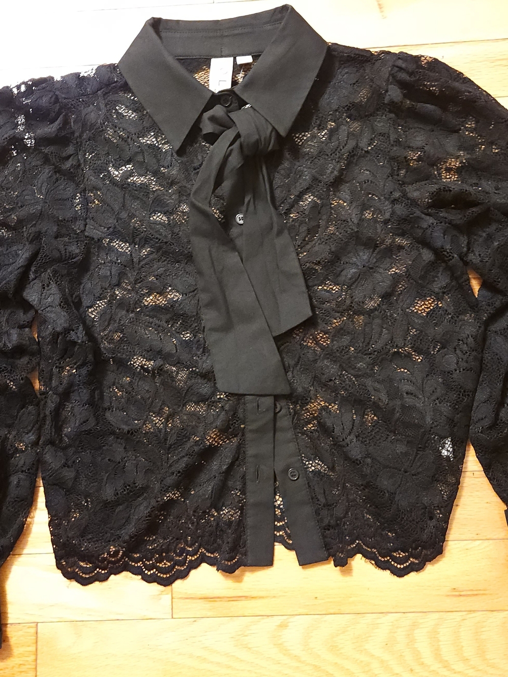 dolan Black Lace Tie-Neck Blouse